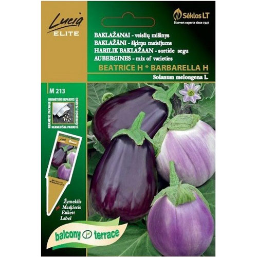 Beatrice Barbarea F1 aubergine mix Handla fr online p